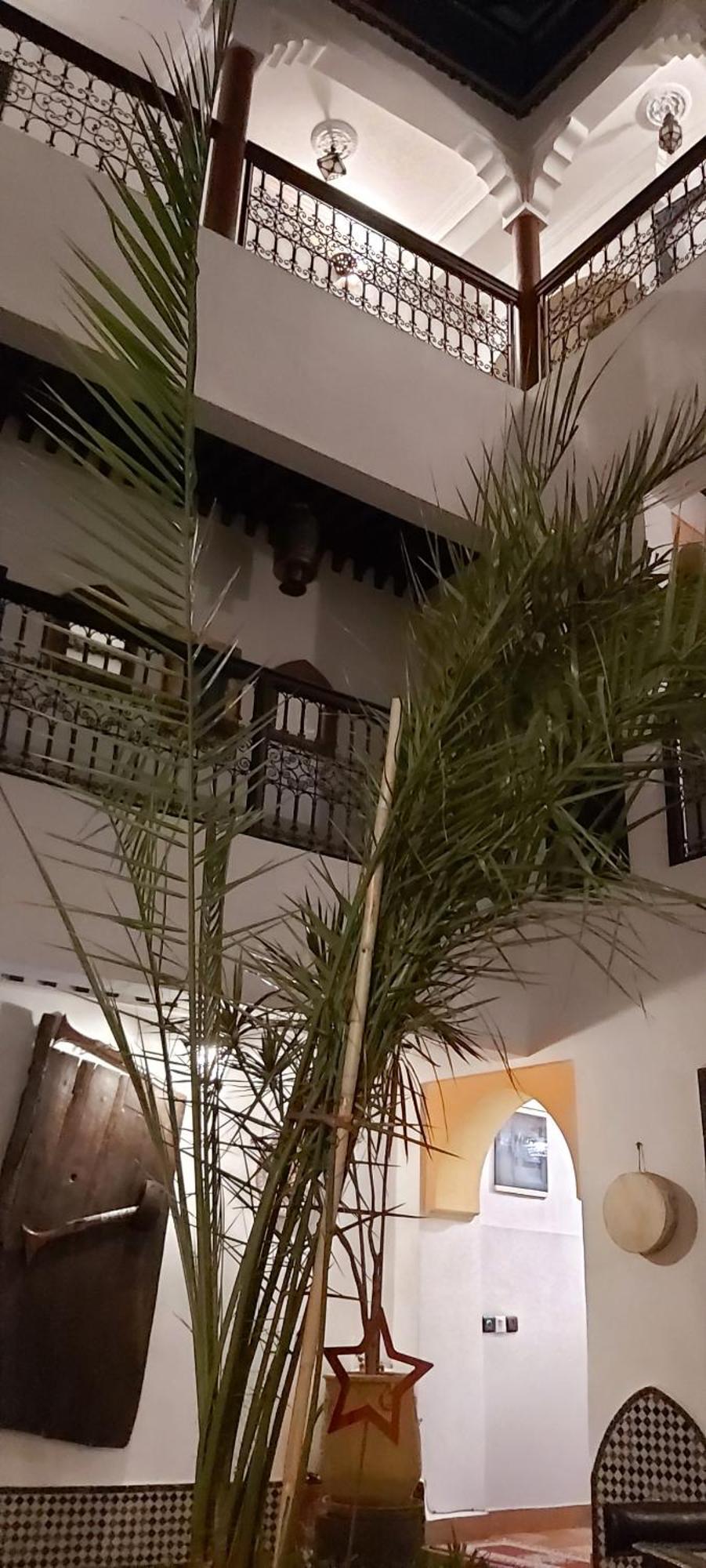 فندق رياض أجيبيل مراكش المظهر الخارجي الصورة